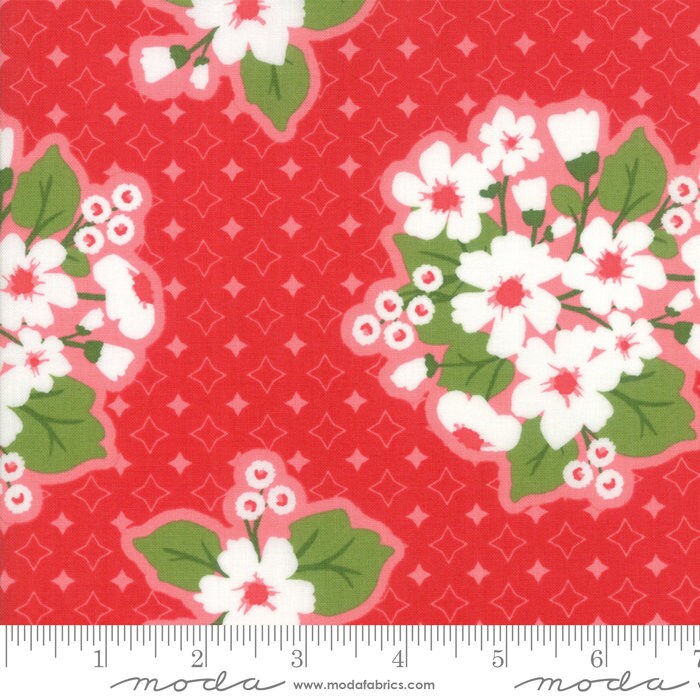 Summer Rain Kit by the Quilt Factory using All Weather Friend fabric by April Rosenthal for Moda 58" x 58" quilt top and bind