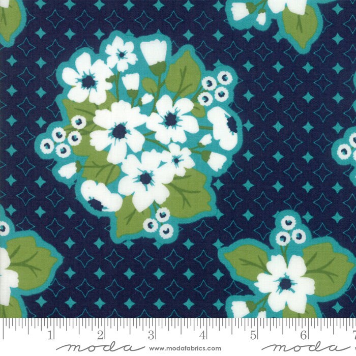 Summer Rain Kit by the Quilt Factory using All Weather Friend fabric by April Rosenthal for Moda 58" x 58" quilt top and bind