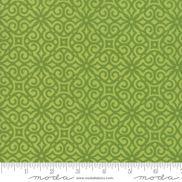 Summer Rain Kit by the Quilt Factory using All Weather Friend fabric by April Rosenthal for Moda 58" x 58" quilt top and bind