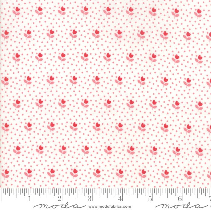 Summer Rain Kit by the Quilt Factory using All Weather Friend fabric by April Rosenthal for Moda 58" x 58" quilt top and bind