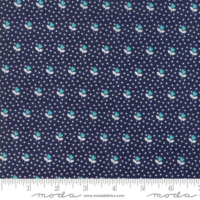 Summer Rain Kit by the Quilt Factory using All Weather Friend fabric by April Rosenthal for Moda 58" x 58" quilt top and bind