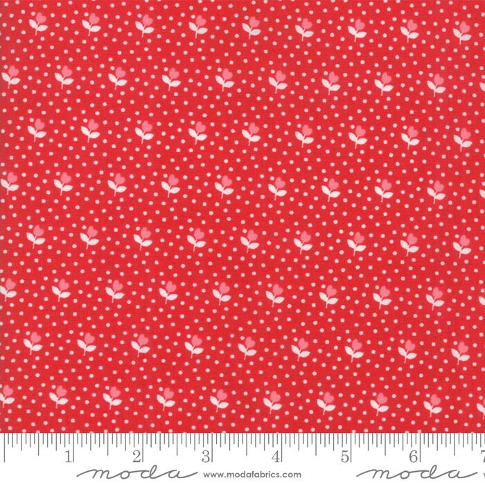 Summer Rain Kit by the Quilt Factory using All Weather Friend fabric by April Rosenthal for Moda 58" x 58" quilt top and bind