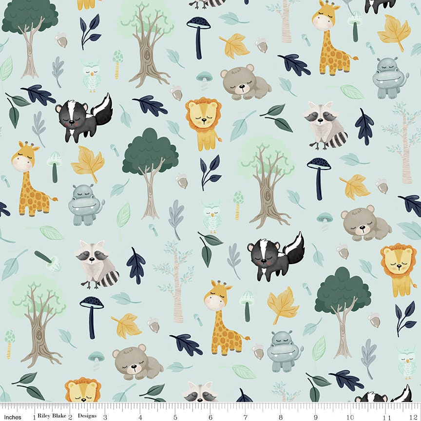 It's A Boy C13250 Aqua by Echo Park Paper Co for Riley Blake Designs - by the half-yard - product image 1
