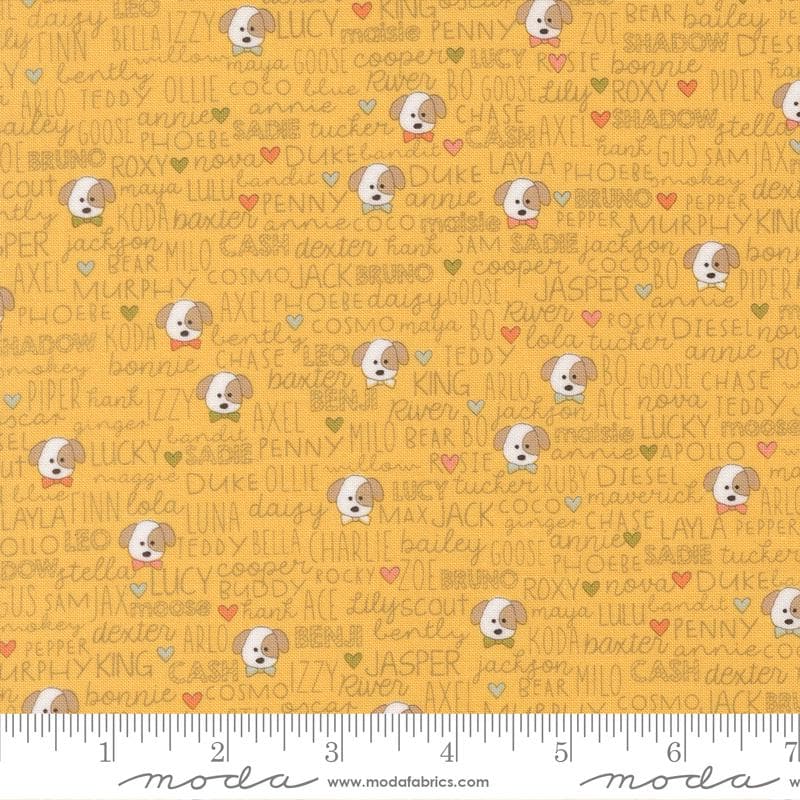Lucky 55702 14 Buddies Sun by Sweetwater for Moda Fabrics - by the half-yard - product image 1